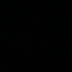 Meet your Posher, Maya